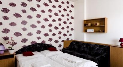 Hotel Gregor<br/>Modřice