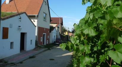 Vinný sklípek na Pálavě<br/>Bulhary