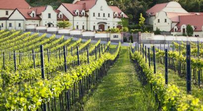 Vinařství U Kapličky<br/>Zaječí