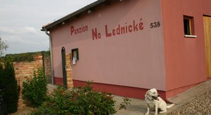 Penzion Na Lednické<br/>Hlohovec