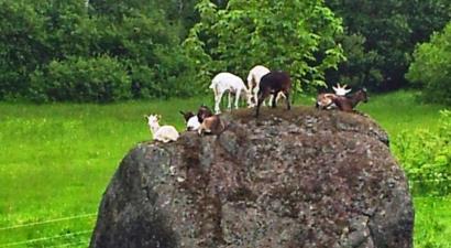 Prázdninový dům  Sladká Díra<br/>Příchovice