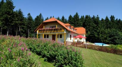 Penzion Patrik<br/>Starý Hrozenkov